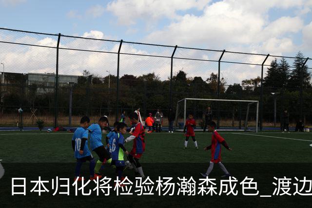 日本归化将检验杨瀚森成色 渡边：有实力击败中国男篮
